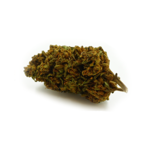Fleur CBD Acapulco Gold Sativa, arômes terreux et boisés, saveur noix de muscade et citron, reflets verts et orange.