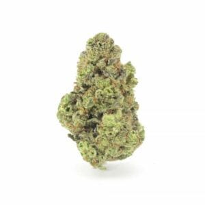 GMO Cookies, CBD aux arômes terreux et sucrés, offrant une relaxation profonde avec des notes de biscuits et de kush.