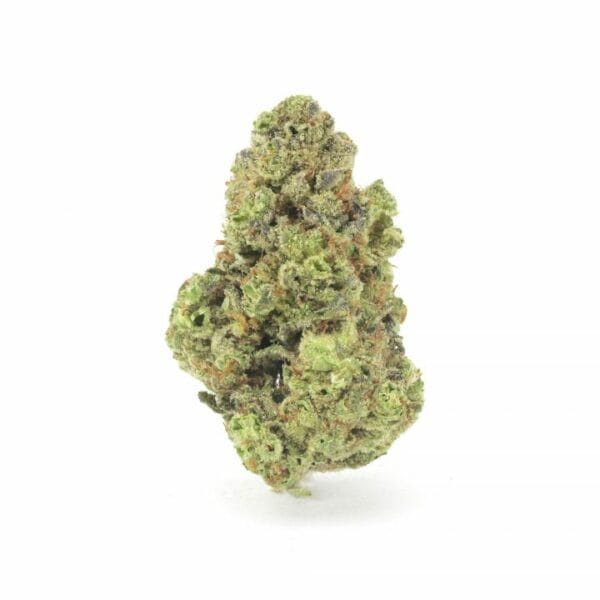Fleur de CBD GMO Garlic Cookies Greenhouse
