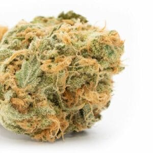 Jamaican Haze, CBD aux arômes tropicaux et épicés, idéale pour une expérience énergisante et stimulante.