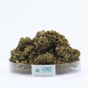King Kush, CBD aux arômes terreux et sucrés, parfaite pour une relaxation royale et un soulagement apaisant.