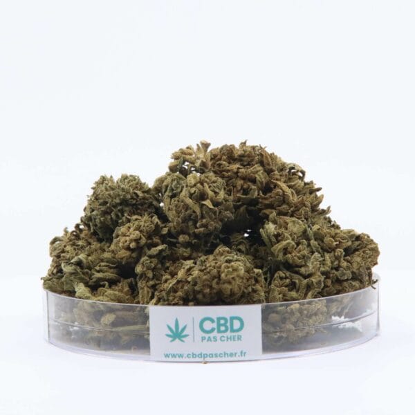King Kush