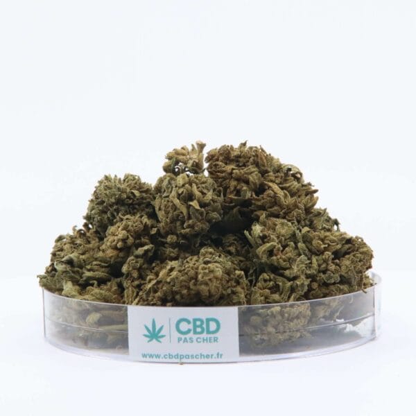 King Kush – Image 3