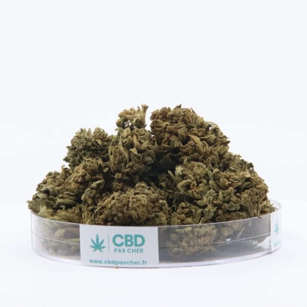 King Kush – Image 4