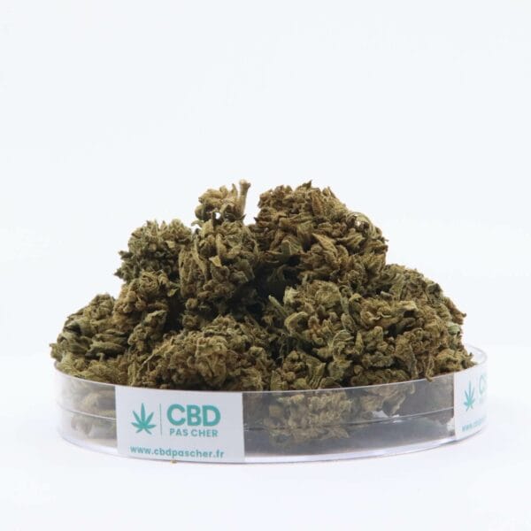King Kush – Image 5