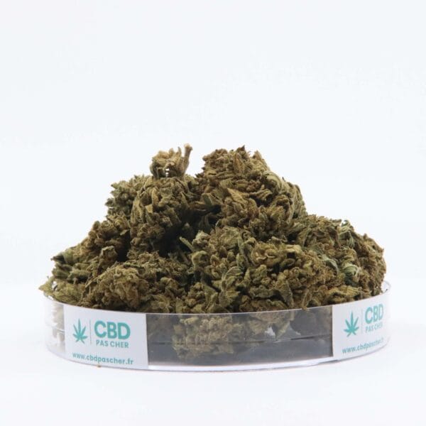 King Kush – Image 7