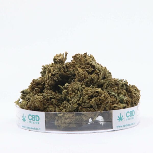King Kush – Image 8