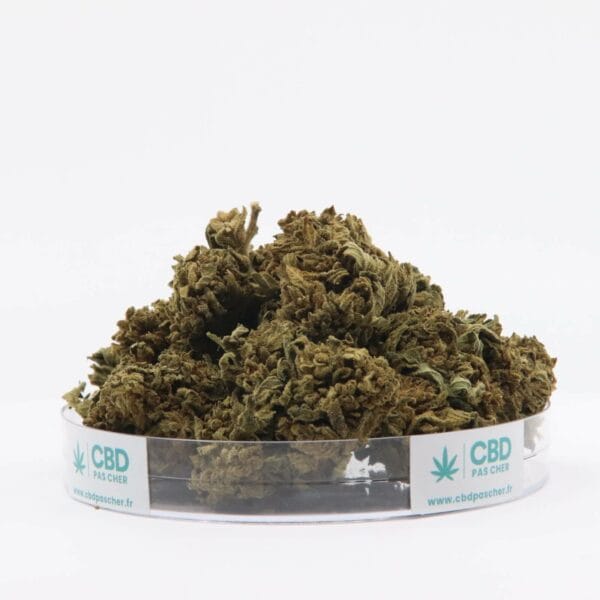 King Kush – Image 9