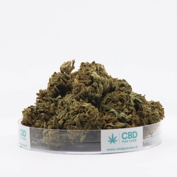 King Kush – Image 11