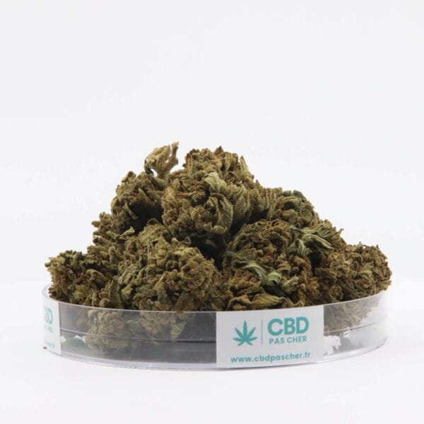 King Kush – Image 12