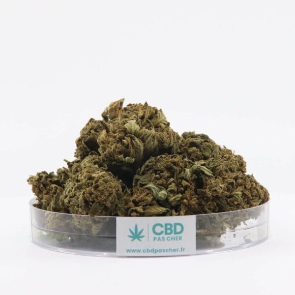 King Kush – Image 14