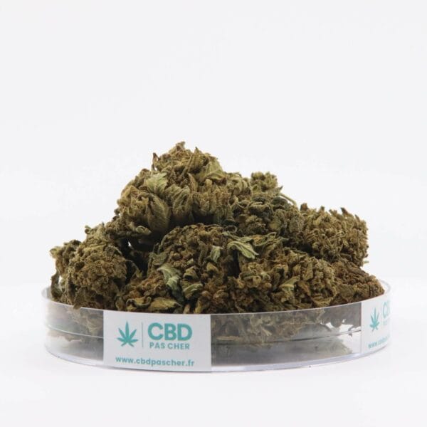 King Kush – Image 17
