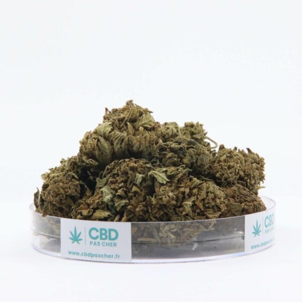 King Kush – Image 18