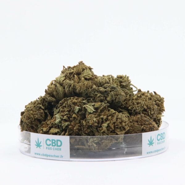 King Kush – Image 19