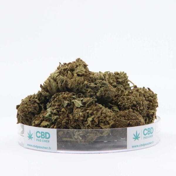 King Kush – Image 20