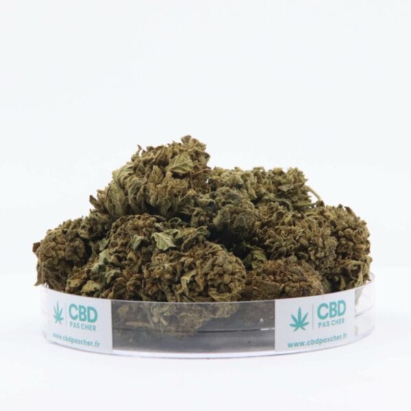 King Kush – Image 21