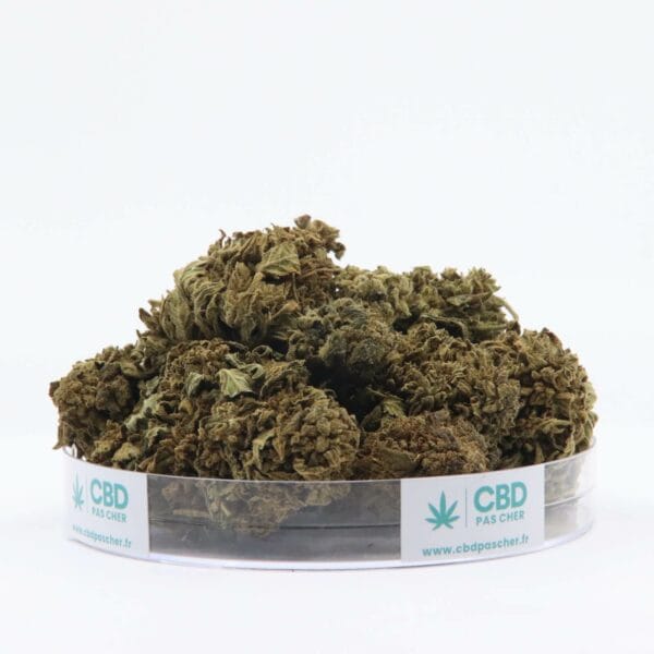 King Kush – Image 22