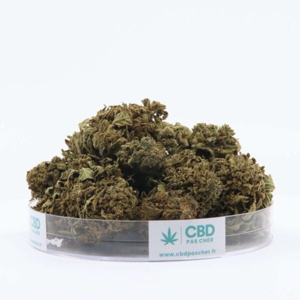 King Kush – Image 24