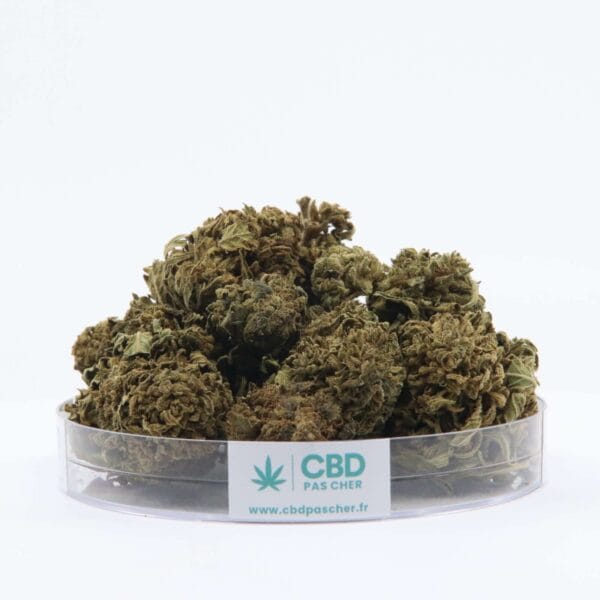 King Kush – Image 26