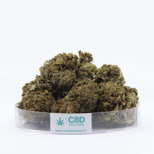 King Kush – Image 27
