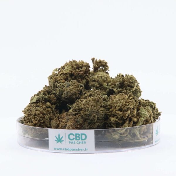 King Kush – Image 28