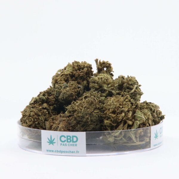 King Kush – Image 29