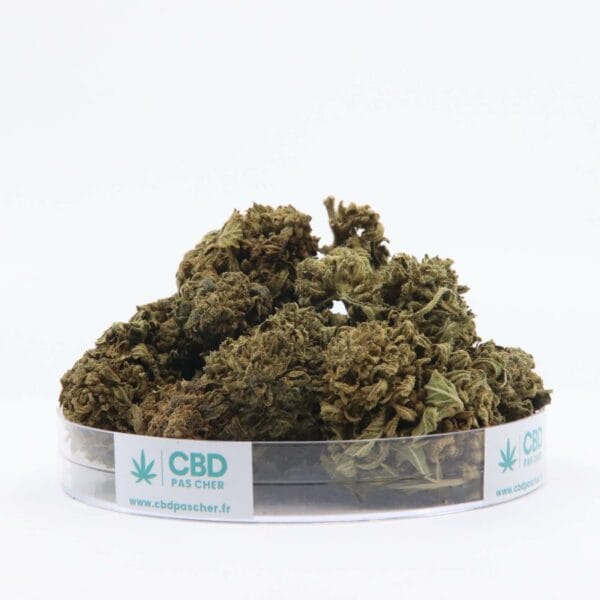 King Kush – Image 30