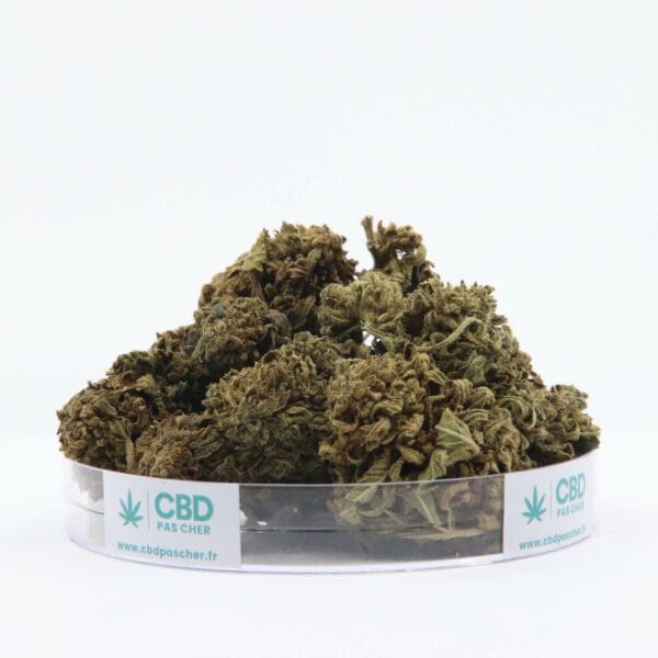 King Kush – Image 31