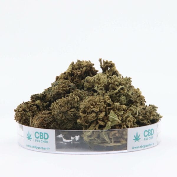 King Kush – Image 32