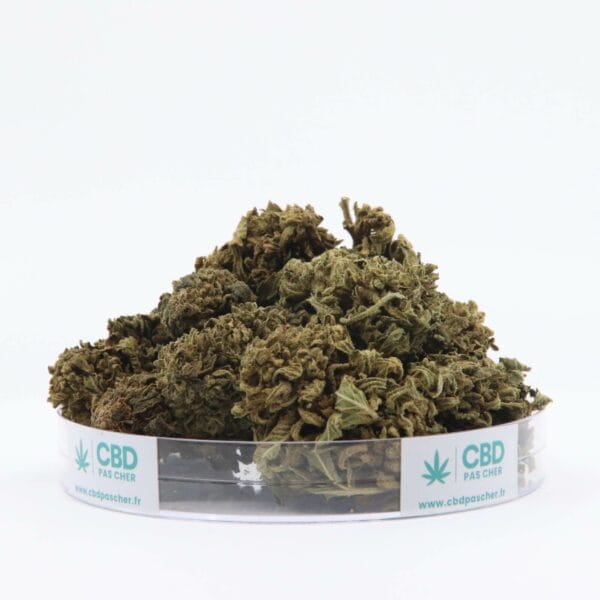King Kush – Image 33
