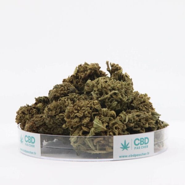 King Kush – Image 34