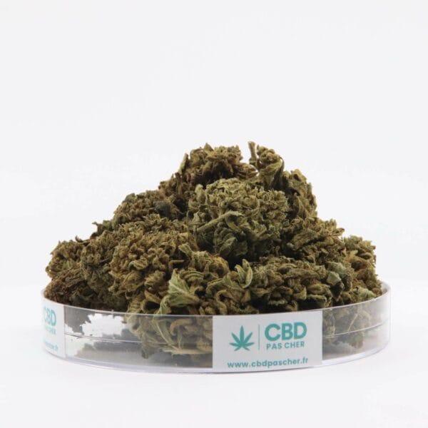 King Kush – Image 36