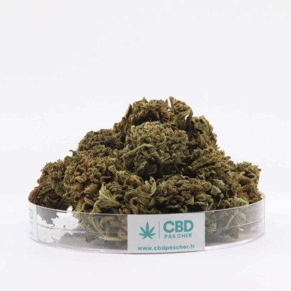 King Kush – Image 37