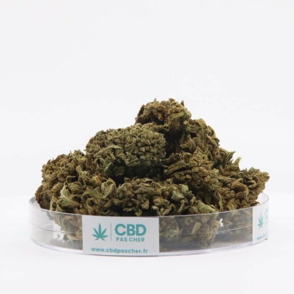 King Kush – Image 40
