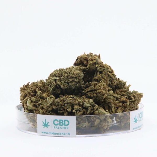King Kush – Image 41