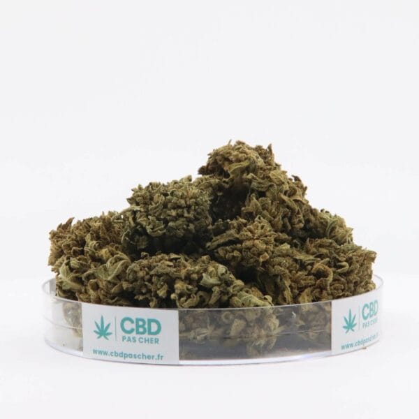 King Kush – Image 42
