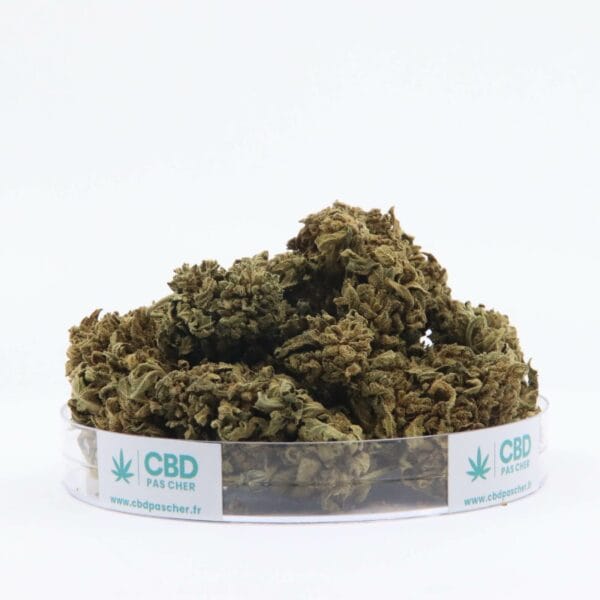 King Kush – Image 43