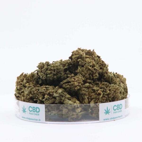 King Kush – Image 44