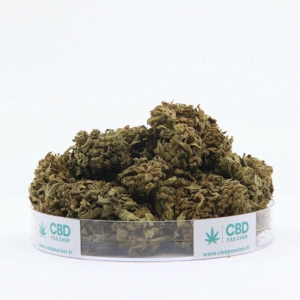 King Kush – Image 45