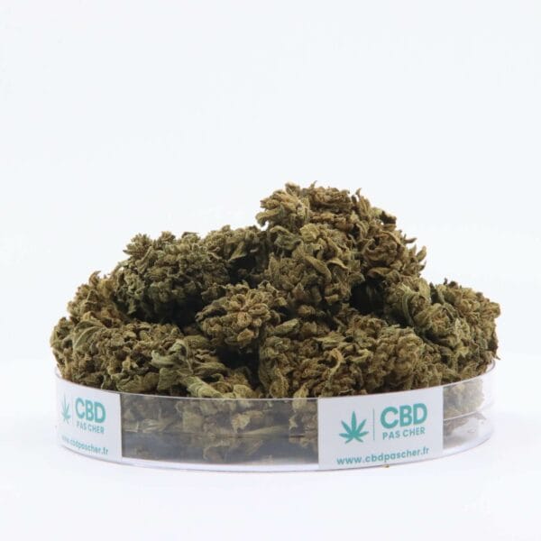 King Kush – Image 46