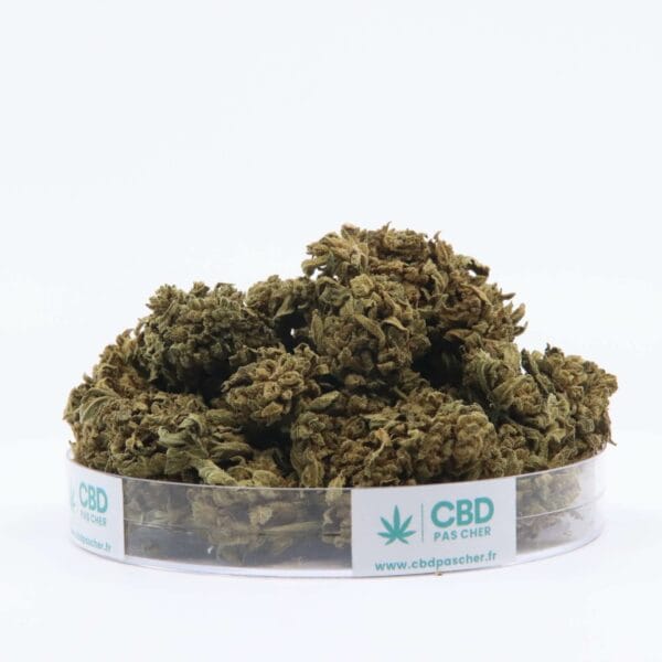 King Kush – Image 47