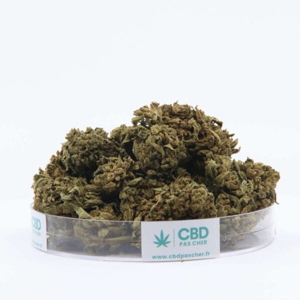 King Kush – Image 48