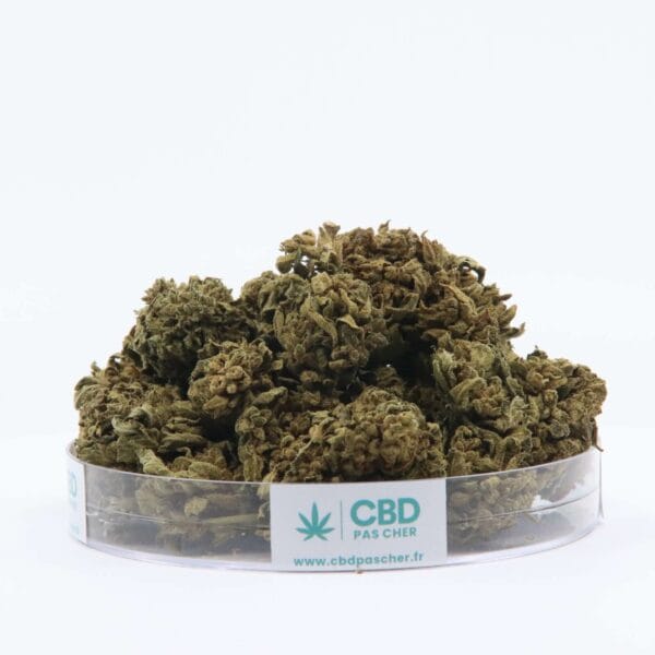 King Kush – Image 49