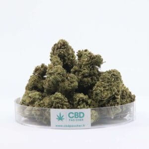 New York Diesel, CBD aux arômes puissants de diesel et agrumes, offrant une saveur intense et un profil unique.