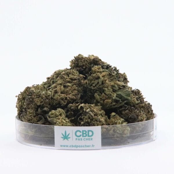 Sour Diesel – Image 3