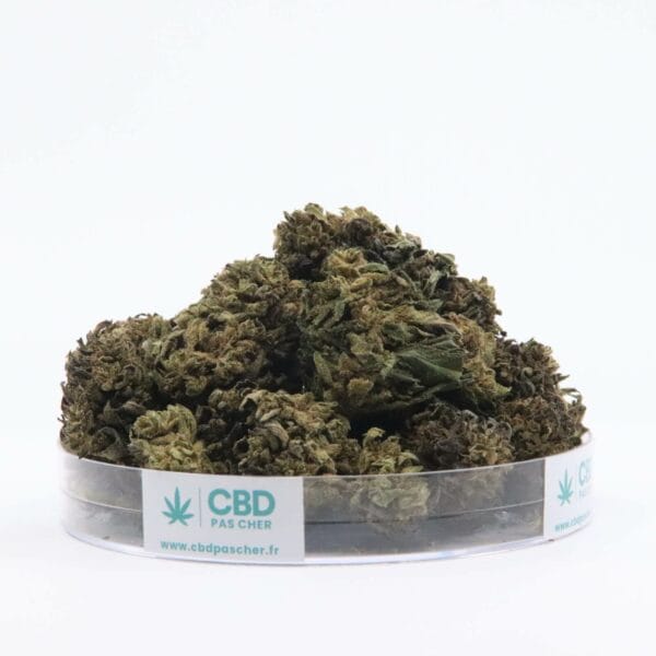 Sour Diesel – Image 5