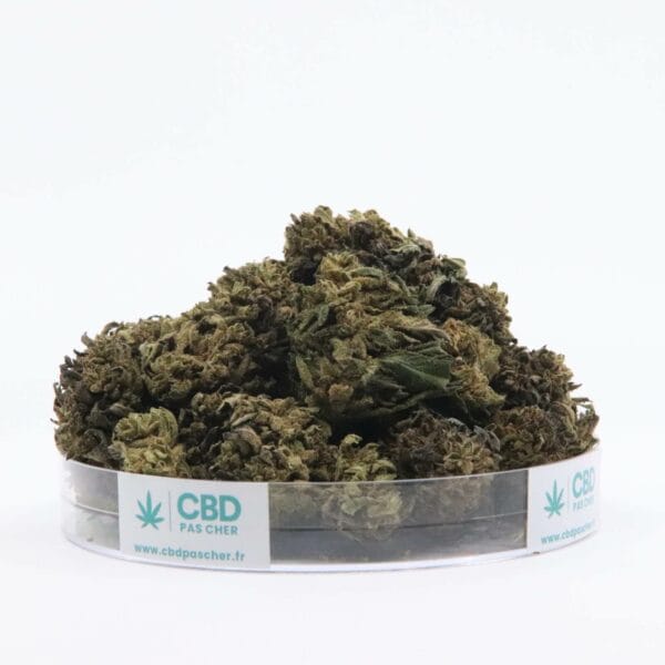 Sour Diesel – Image 6