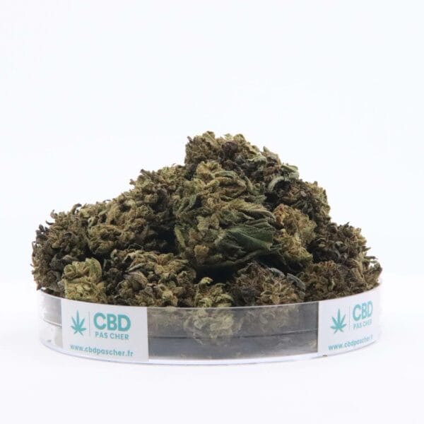 Sour Diesel – Image 7