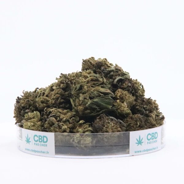 Sour Diesel – Image 8