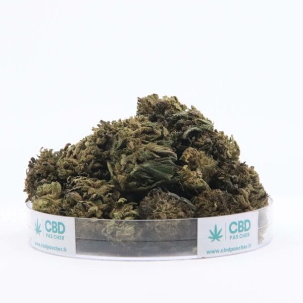 Sour Diesel – Image 9